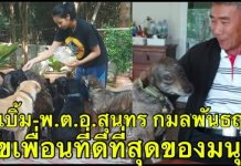 13หมาพันธุ์บิ๊ก สัตว์เลี้ยงแสนรักตำรวจวัยเกษียณ