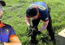 ปลื้มกู้ภัยหนุ่มฮอลแลนด์ช่วยลูกหมาตกท่อที่บุรีรัมย์