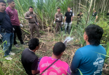 ตำรวจภาค2ตะครุบแก๊งยาบ้ากลางป่ายูคาคลองหาด