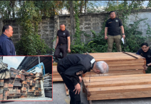 ”ฉก.เฮ้ง“โชว์ยึดไม้สักแปรรูปขนมาจากตากแต่แสดงใบขนย้ายจากอีสาน