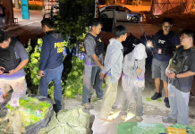 สืบบก.น.1จับ2หนุ่มสาวพม่าขนไอซ์300กก.ยาบ้า2.4ล.เม็ด