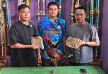 ตำรวจยุคใหม่ทำกินโปร่งใสขายพ่อพันธุ์ไก่ชน1.9ล้าน