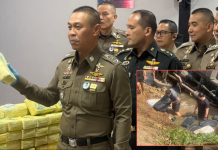 191 ไล่ล่าสิบล้อขนยาบ้าหนีตำรวจร่วงคลองกว่า 4 ล้านเม็ด