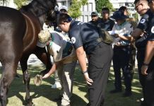 บก.สปพ.ชนะเลิศแข่งขัน “สุดยอดช่างเกือกม้า”