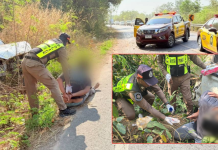 ตำรวจทางหลวงล่าระทึกพ่อค้ายาบ้าแหกด่านตกข้างทาง