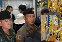 ACSC ตัดสัญญาณเน็ตไทยถูกเชื่อมเข้าเขมรเอื้อสแกมเมอร์อีกจุด