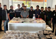 สืบภาค8รวบหนุ่มรัสเซียลอบขายเห็ดขี้ควายในภูเก็ต