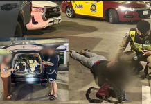 ปส.-ทางหลวงชุมพรสกัดไอซ์213กก.ลง3จว.ใต้