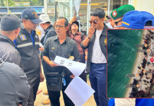 สืบภาค8ร่วมฝ่ายปกครองลุยทวงคืนที่สาธารณะหาดบางเทา