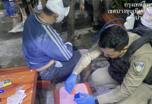 หนุ่มเมาขี่จยย.ล้มตำรวจค้นเจอยาบ้า4พันเม็ด