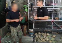 ปทส.ขยายผลยึดสัตว์ป่าคุ้มครอง100ชีวิตซุกบ้านฝั่งธนฯ