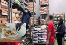 ปคบ.ยึดเครื่องในโคเถื่อนอเมริกาใต้3.6ตันซุกห้องเย็นอยุธยา