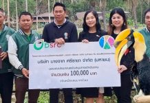 สวนสัตว์เปิดเขาเขียวร่วมบางจากศรีราชาหนุนคืนนกกาฮังสู่ธรรมชาติ