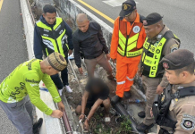 ตำรวจทางหลวงมอเตอร์เวย์จับโจรลอบตัดสายไฟ