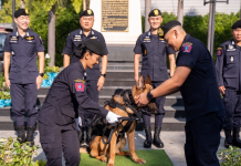 ผู้การ191ทำบุญครบ72ปีกก.สุนัขตำรวจพร้อมติดยศ K9- 20 ตัว