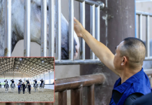 น.1นำแม่บ้านตำรวจและกต.ตร.เยี่ยมเยียนและมอบถุงยังชีพตำรวจม้า