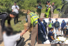 รวบคาถนน M6 ตร.ทางหลวงจับมือ ปส. ตะครุบ 3 ผู้ต้องหาขนยาบ้า 300,000 เม็ดเข้ากรุง