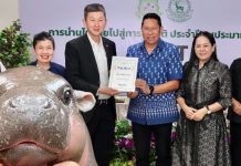 พลังหมูเด้ง “เขาเขียว” รับรางวัลระดับโลก “2026 Trip.Best”